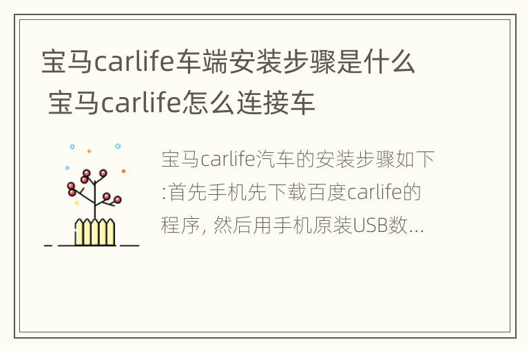 宝马carlife车端安装步骤是什么 宝马carlife怎么连接车