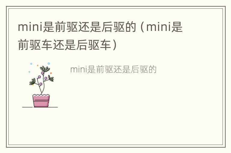 mini是前驱还是后驱的（mini是前驱车还是后驱车）