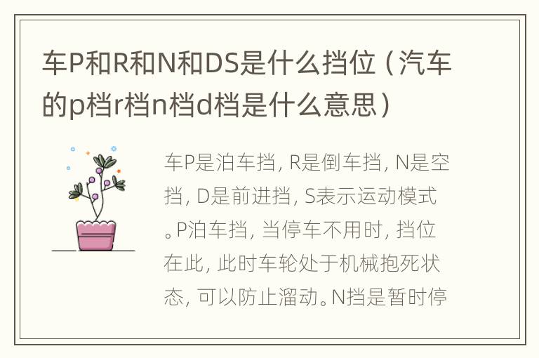 车P和R和N和DS是什么挡位（汽车的p档r档n档d档是什么意思）