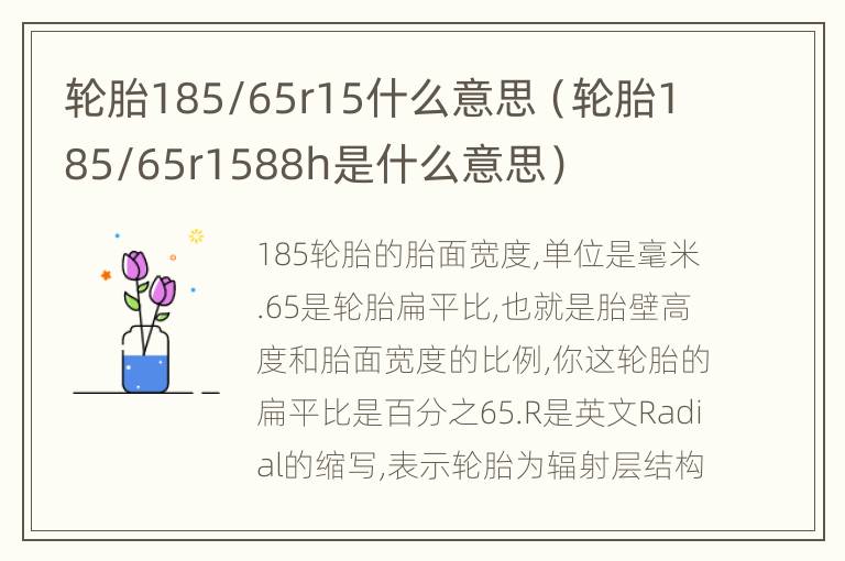 轮胎185/65r15什么意思（轮胎185/65r1588h是什么意思）