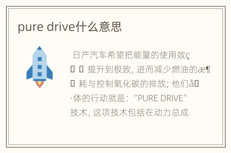 pure drive什么意思