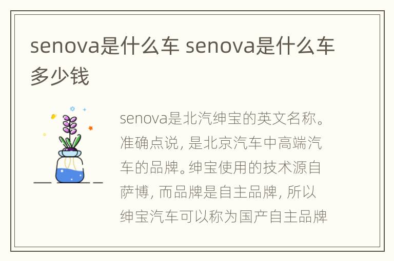 senova是什么车 senova是什么车多少钱