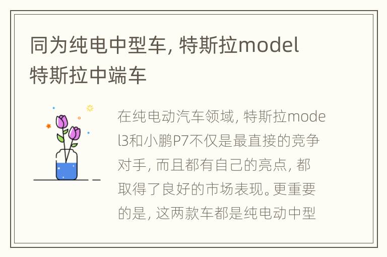 同为纯电中型车，特斯拉model 特斯拉中端车