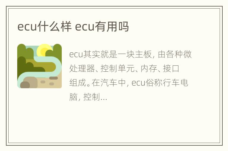 ecu什么样 ecu有用吗