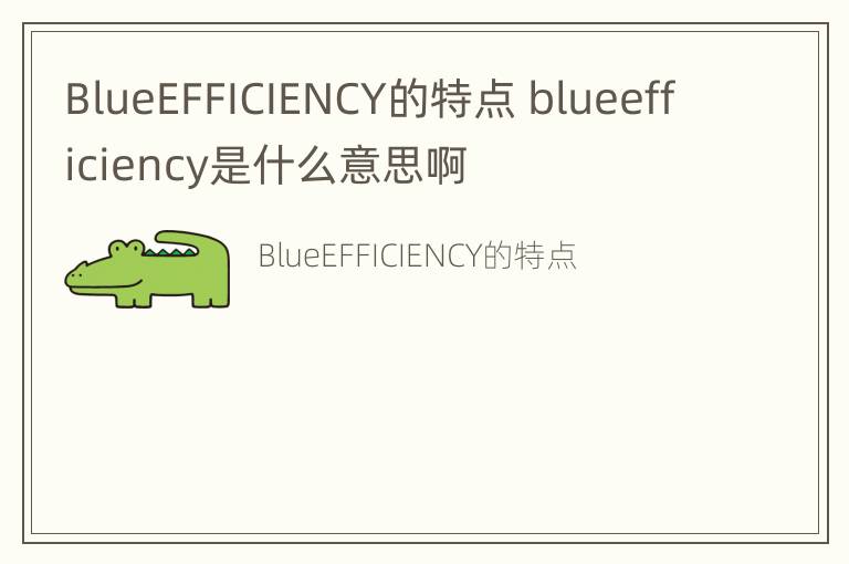 BlueEFFICIENCY的特点 blueefficiency是什么意思啊