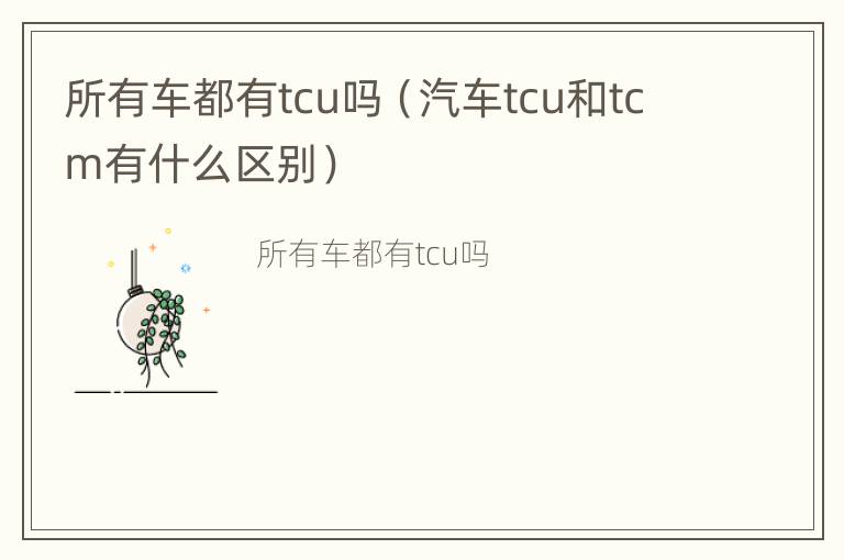 所有车都有tcu吗（汽车tcu和tcm有什么区别）