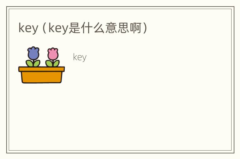 key（key是什么意思啊）