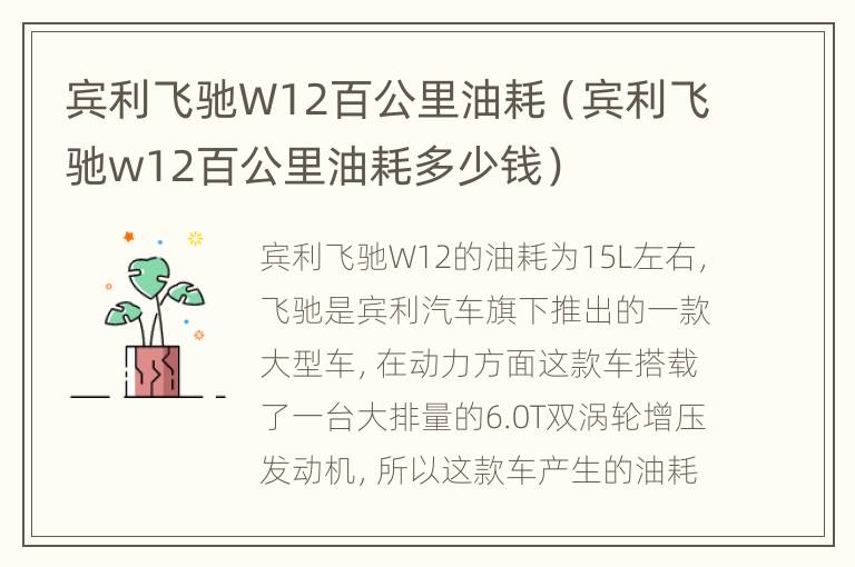 宾利飞驰W12百公里油耗（宾利飞驰w12百公里油耗多少钱）