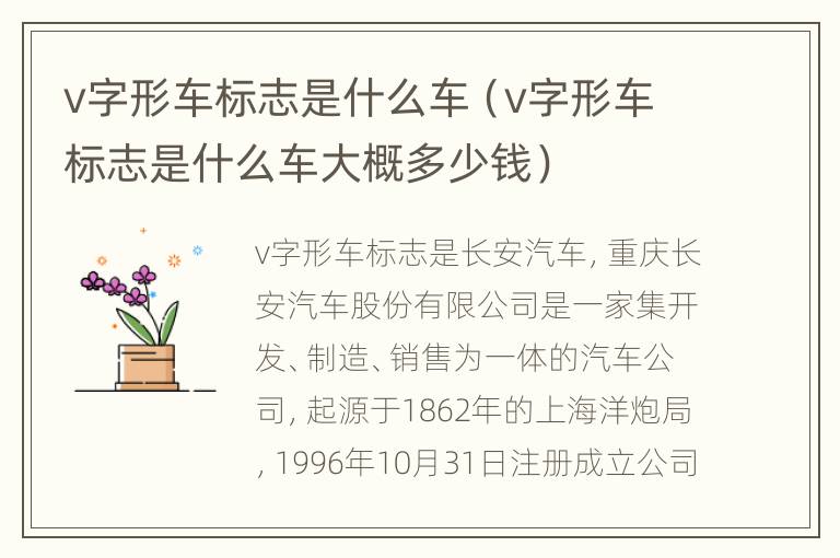 v字形车标志是什么车（v字形车标志是什么车大概多少钱）