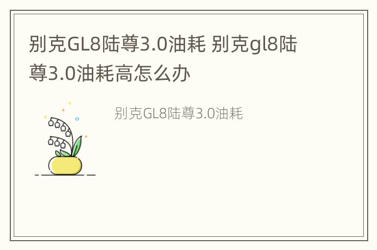 别克GL8陆尊3.0油耗 别克gl8陆尊3.0油耗高怎么办