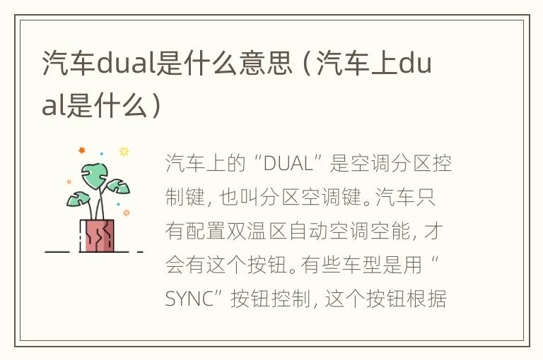 汽车dual是什么意思（汽车上dual是什么）