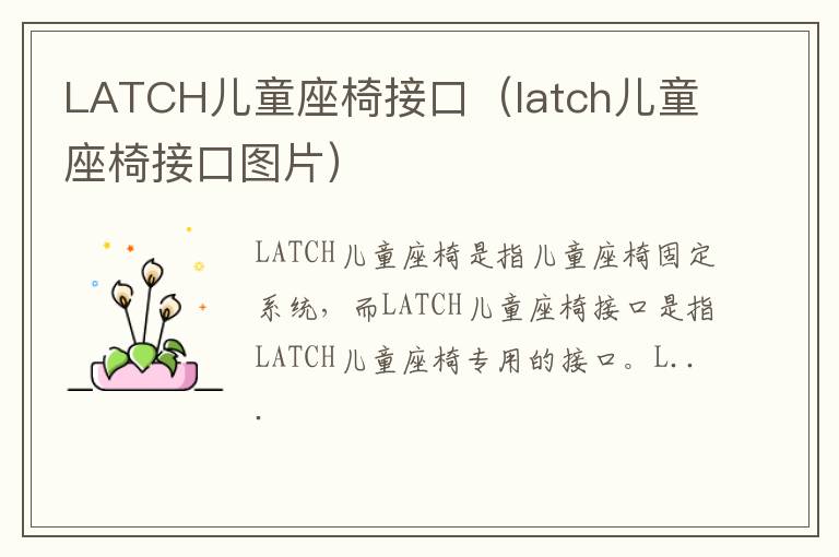 LATCH儿童座椅接口（latch儿童座椅接口图片）