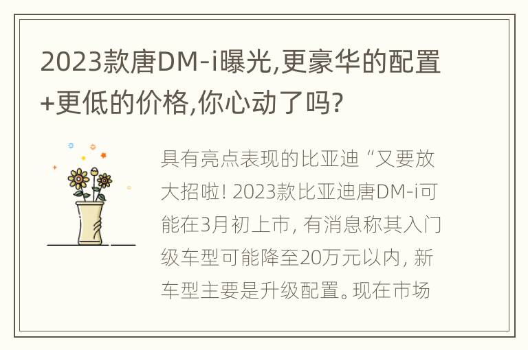 2023款唐DM-i曝光,更豪华的配置+更低的价格,你心动了吗?