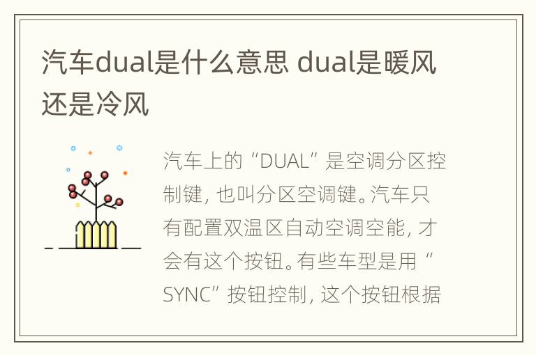 汽车dual是什么意思 dual是暖风还是冷风