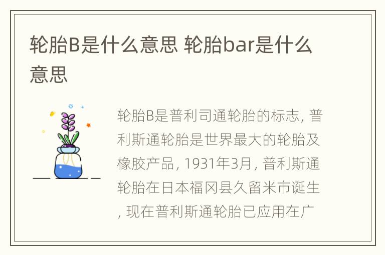 轮胎B是什么意思 轮胎bar是什么意思