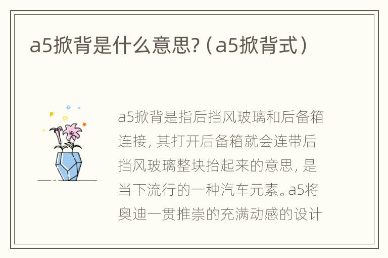 a5掀背是什么意思?（a5掀背式）