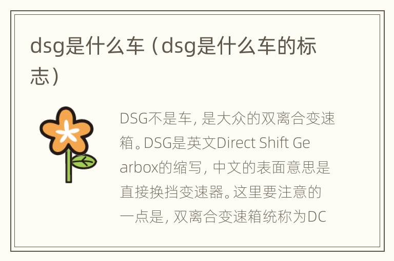 dsg是什么车（dsg是什么车的标志）