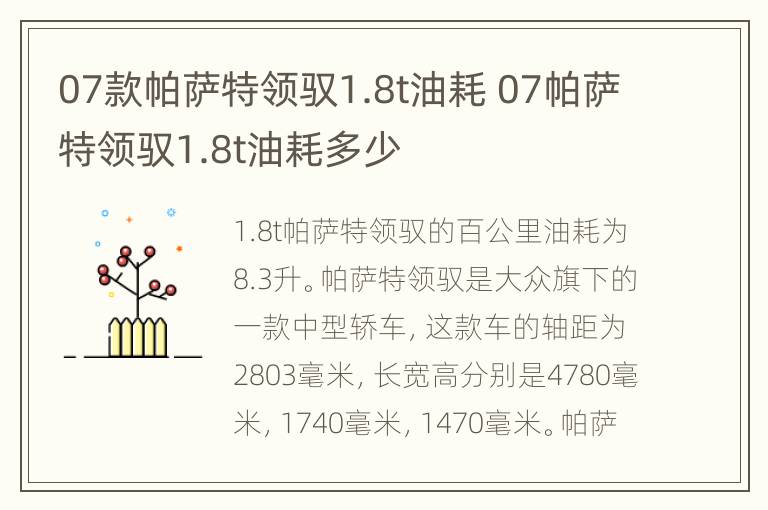 07款帕萨特领驭1.8t油耗 07帕萨特领驭1.8t油耗多少