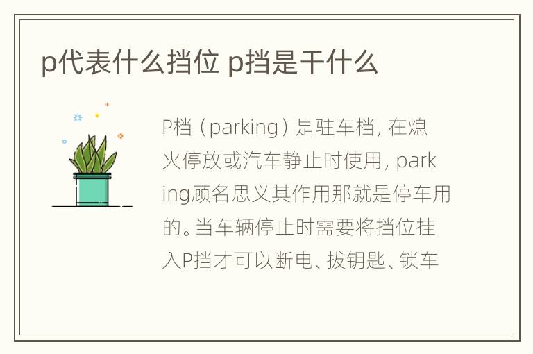 p代表什么挡位 p挡是干什么