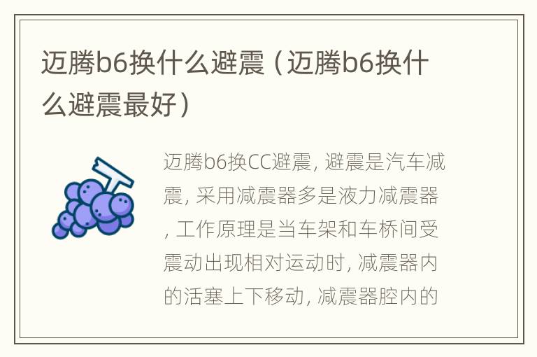 迈腾b6换什么避震（迈腾b6换什么避震最好）