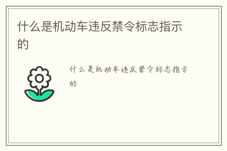 什么是机动车违反禁令标志指示的