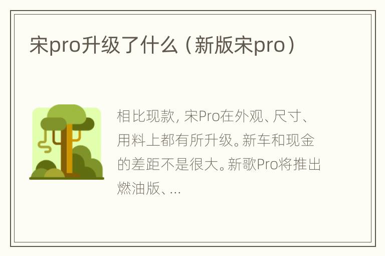 宋pro升级了什么（新版宋pro）