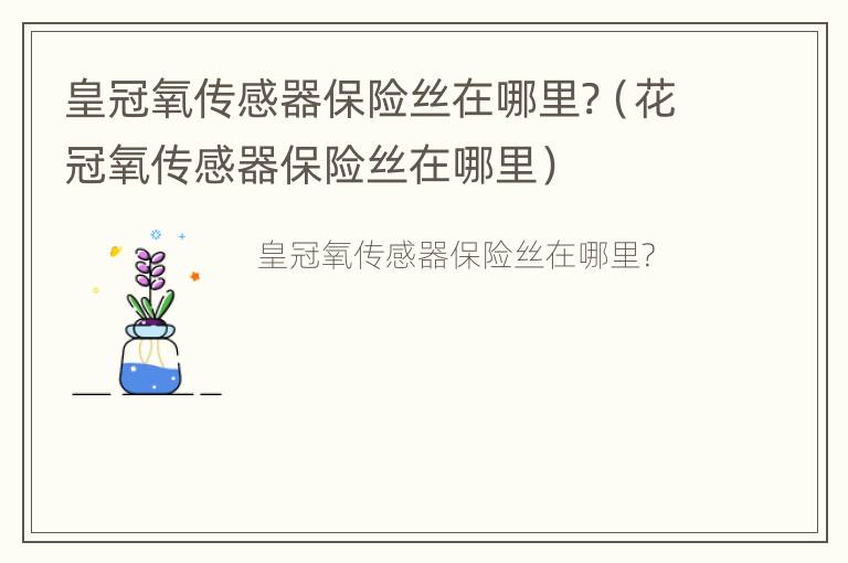 皇冠氧传感器保险丝在哪里?（花冠氧传感器保险丝在哪里）