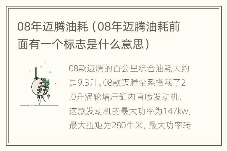 08年迈腾油耗（08年迈腾油耗前面有一个标志是什么意思）