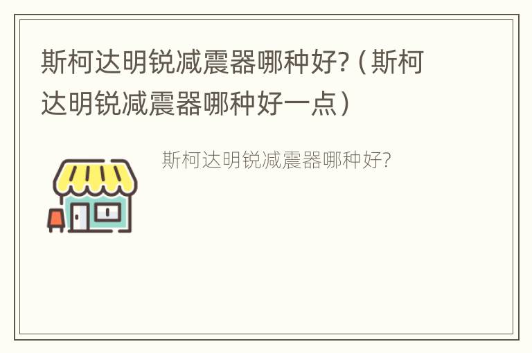 斯柯达明锐减震器哪种好?（斯柯达明锐减震器哪种好一点）