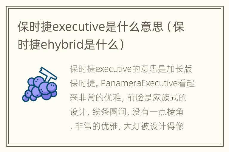 保时捷executive是什么意思（保时捷ehybrid是什么）