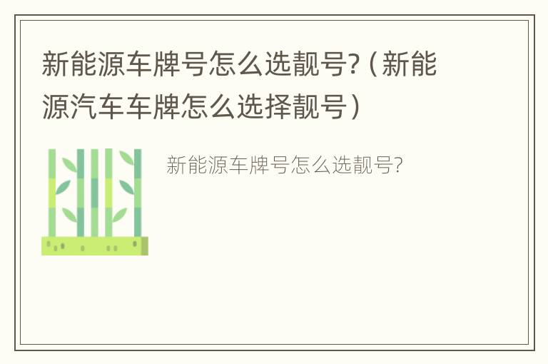 新能源车牌号怎么选靓号?（新能源汽车车牌怎么选择靓号）