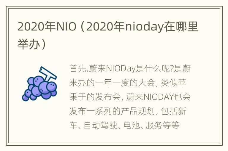 2020年NIO（2020年nioday在哪里举办）