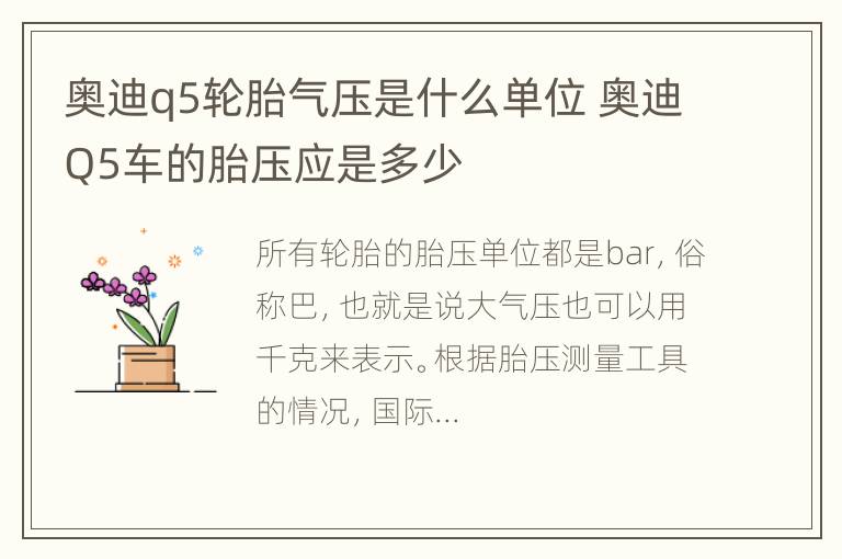 奥迪q5轮胎气压是什么单位 奥迪Q5车的胎压应是多少