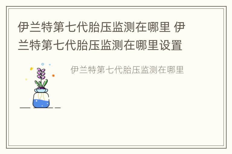 伊兰特第七代胎压监测在哪里 伊兰特第七代胎压监测在哪里设置