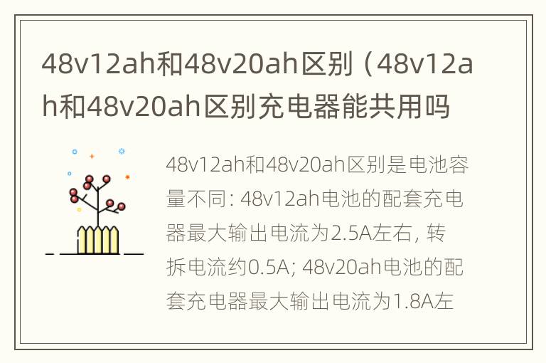 48v12ah和48v20ah区别（48v12ah和48v20ah区别充电器能共用吗）