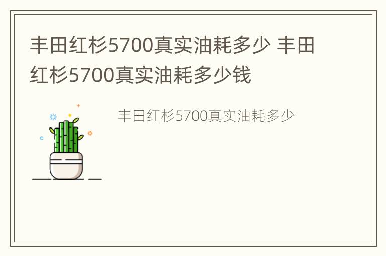 丰田红杉5700真实油耗多少 丰田红杉5700真实油耗多少钱