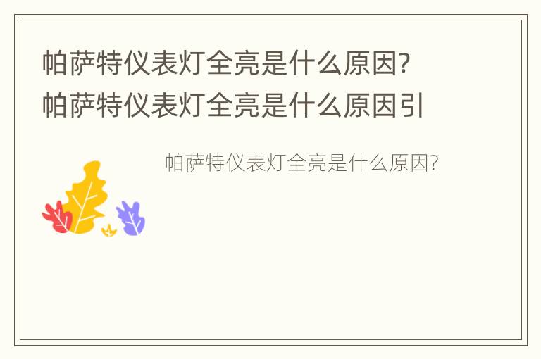 帕萨特仪表灯全亮是什么原因? 帕萨特仪表灯全亮是什么原因引起的