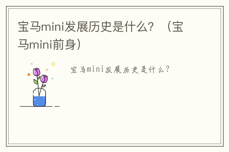 宝马mini发展历史是什么？（宝马mini前身）