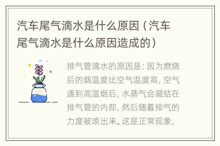 汽车尾气滴水是什么原因（汽车尾气滴水是什么原因造成的）