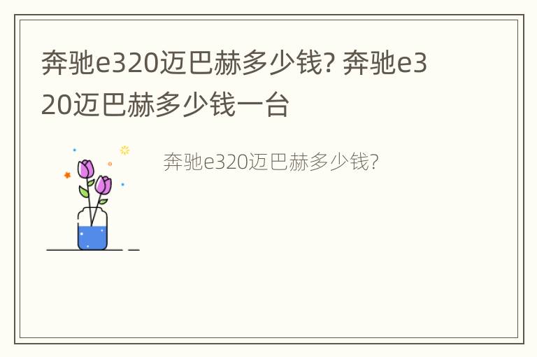 奔驰e320迈巴赫多少钱? 奔驰e320迈巴赫多少钱一台