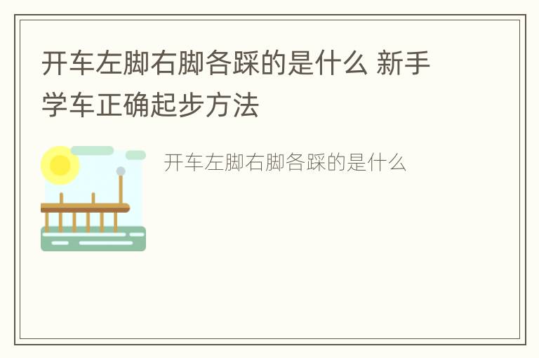 开车左脚右脚各踩的是什么 新手学车正确起步方法