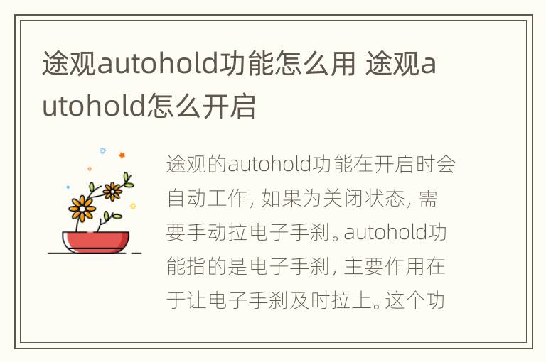 途观autohold功能怎么用 途观autohold怎么开启