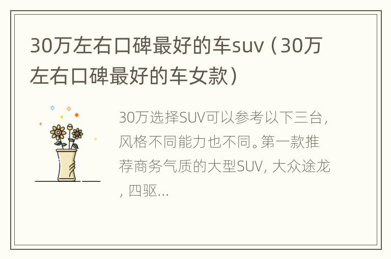 30万左右口碑最好的车suv（30万左右口碑最好的车女款）