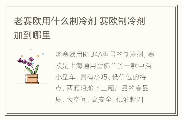 老赛欧用什么制冷剂 赛欧制冷剂加到哪里