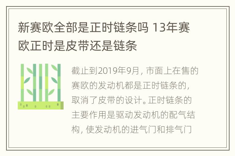 新赛欧全部是正时链条吗 13年赛欧正时是皮带还是链条