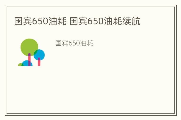 国宾650油耗 国宾650油耗续航