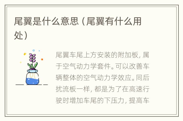 尾翼是什么意思（尾翼有什么用处）