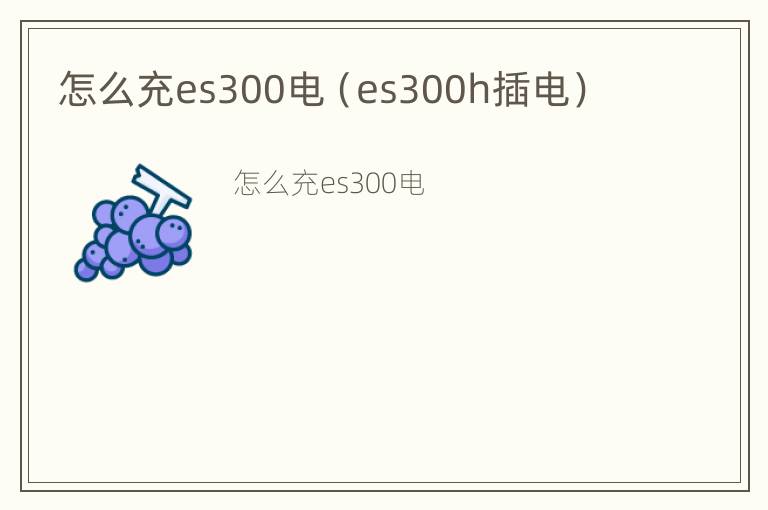 怎么充es300电（es300h插电）