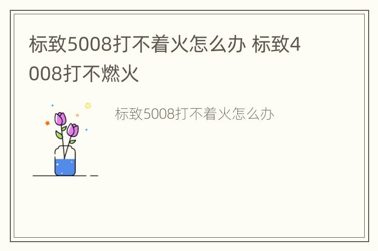 标致5008打不着火怎么办 标致4008打不燃火