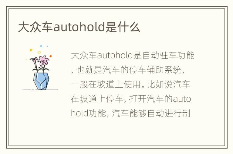 大众车autohold是什么